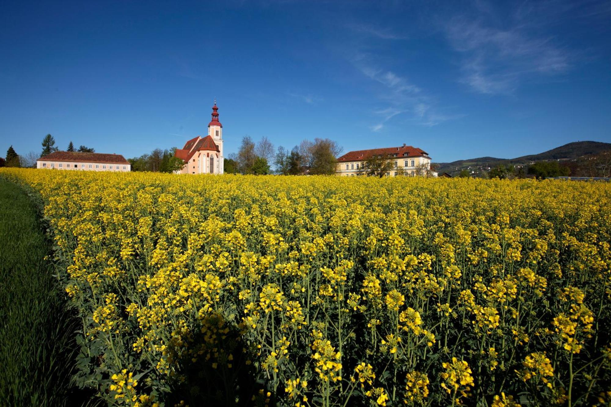 Gasthof Pack "Zur Lebing Au" Hartberg Exterior photo